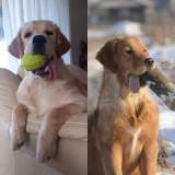 86a2024c81932ce3b09284f4466ed16e_160x160_fill