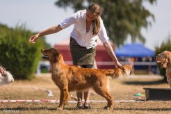 86a453ba3601750a8df96d4dbb04aef3_246