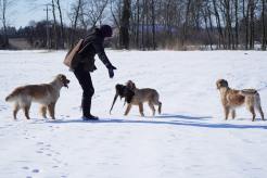 86acc2d6504726e9f3ed9136a05e880d_246x164_fill