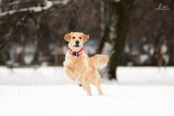 86bebd6026d8951a03809040f2f73686_246