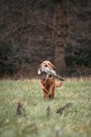 86d680642992f6e054a8ea99bd6f330f_130x195_fill