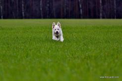 870b1572c9975fcce3154015394be9c0_246x164_fill