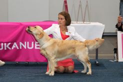 87266dc5ebe3696068ec0756f69ab950_246x164_fill