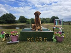 876ff12679e04bd9c9c88f8cd8bd68a1_232x174_fill