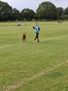 87863b892fa1245313aa8ecb996727aa_138x184_fill