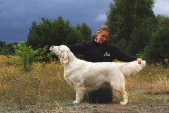 87b20353b18d4de0bbbddf250b41fce0_246