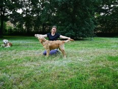 87b6aa581de7236eadd389e44f86c72d_232x174_fill