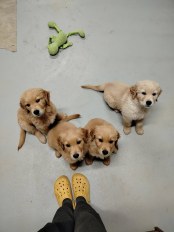 880ee8031d0d93a9cb110fd06f3c62a0_174x232_fill