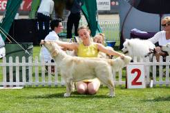 881055510e573f53c349ff807f37e057_246