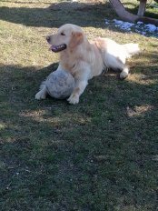 885d7335b923e22c130be4783f561be0_174x232_fill