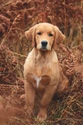 886316923e5bcfd5faa27425b8409c6f_164x246