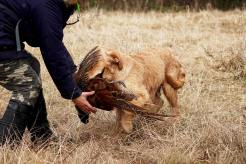 888352971746ac9e24d309f8b5f5e83b_246x164_fill