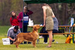 888cd9e32a6e64f6e5e03907a72270ec_246