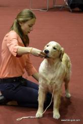 888e4fc4811e6fa99681a5b0f3ea9e50_164x246