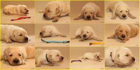 88a72ca11fb2fd9e2eb033d8269fcdcc_283