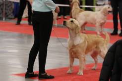 88ffd3e207c7f237aeeff937a6e4b7f8_246