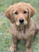 890875f942d9f0a9ed66c6e41e70ae7f_138x183