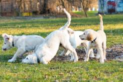 892feb31c351e9deadd1fdf6caa65fa2_245