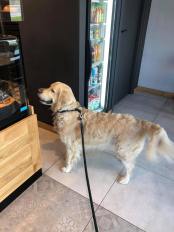 8986fc1d07a4cf127fd1840100c917a4_174x232_fill