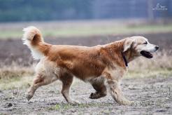 89ac47453ffd2ebcc99d1dc970eeb457_246