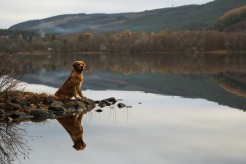 8a08a8d2cbe0144abc9431bc67dd8c60_246