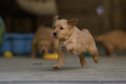 8a89a37fc628bd5aa88aba0cc7ef04e6_246