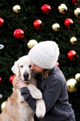 8a8e01ae1d2db696227da3db240cc4dd_164x246