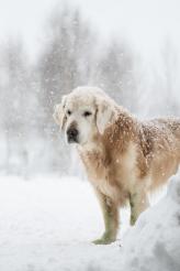 8aa0fcc117d076fa46894c398d8af8ad_164x246_fill