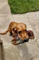 8aa597f8305edb9a2264190af99daf8f_128x198