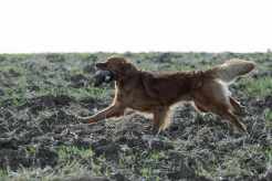 8ab26c382415b55049f0eefb31efc010_246x164_fill