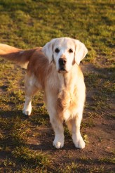 8ad8b7c02485072cccf7d37a12d59c10_164x246