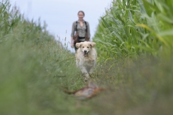 8b0ffa80af6868eb5940812c4efe41d9_246