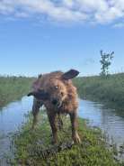 8b3cd0ee84b723600c9eb7b573c2015d_138x184_fill