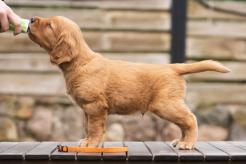 8b406f39e141d4d44fc4bc5aa290975a_246x164_fill