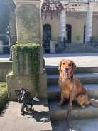 8b4262977324f041344f3f415f532db9_138x184_fill