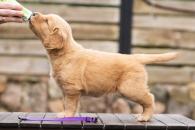 8b4d8af1e412047b6688383a4d5c8803_195x130_fill