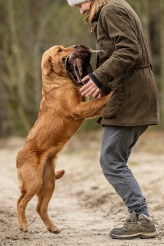 8b4e65ce415cf6abc59f5d62cb0ef769_164x246