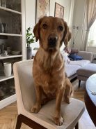 8b513face5968c1a7f945f79a7297d28_138x184_fill