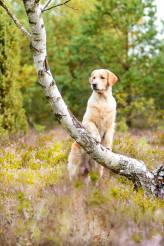 8b79137358651eb0a4e98cd8d6fba63b_164x246_fill