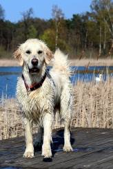 8bd7403fa526080b1ddef469ff5c64a2_164x246