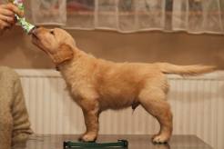 8bde124d960b39c6511c261f40019db5_246x164_fill