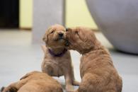 8be5de1d2f8152a5f3e746aafe1bb3cd_195x130_fill