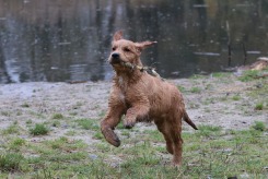 8c2e3da910722fe40a727af404a84299_245