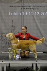 8c5fa476e2c269f7c7f7c95c42cebc00_164x246