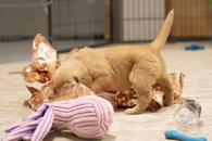 8c6403014acebbfd06ff8a2c23afa119_195x130_fill