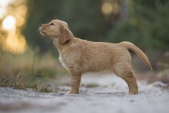 8c6e907db0212e1f3541920cd731bd72_246