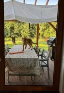 8c83779a30d2026d355a6f0200648526_132x191