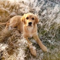 8c85236a00d04b8d0149c14f03b6b983_200x200_fill