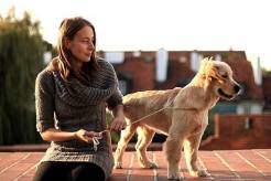 8d13b5c45c055770b97a22aa8a8e1648_246