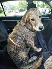 8d2c2e510b87c6ef017f35f7ff63cc45_174x232_fill